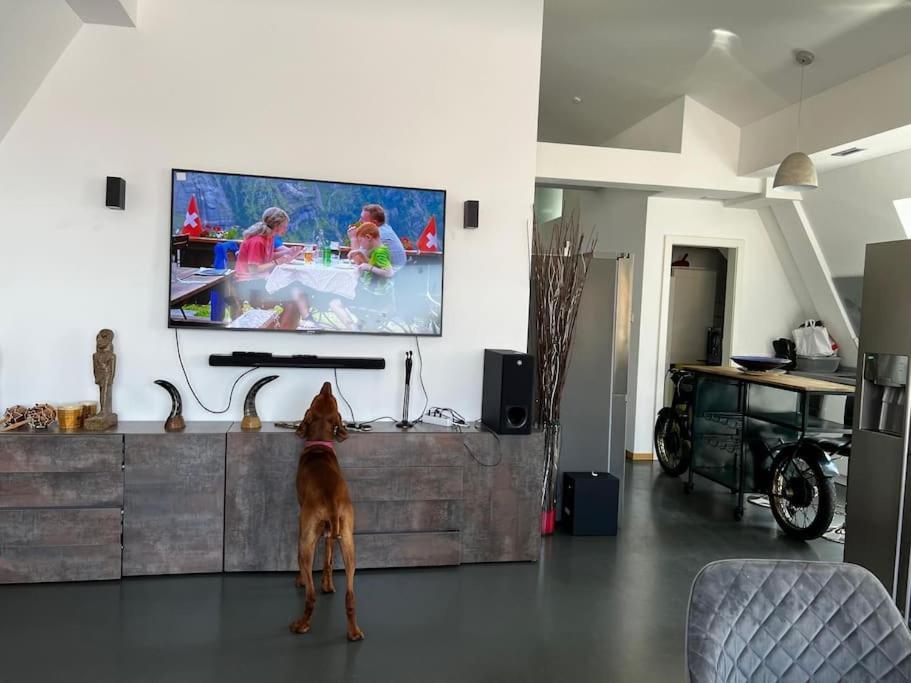 6 Zimmer Maisonette-Penthouse Pool Dachterrasse Luxus München Eksteriør billede