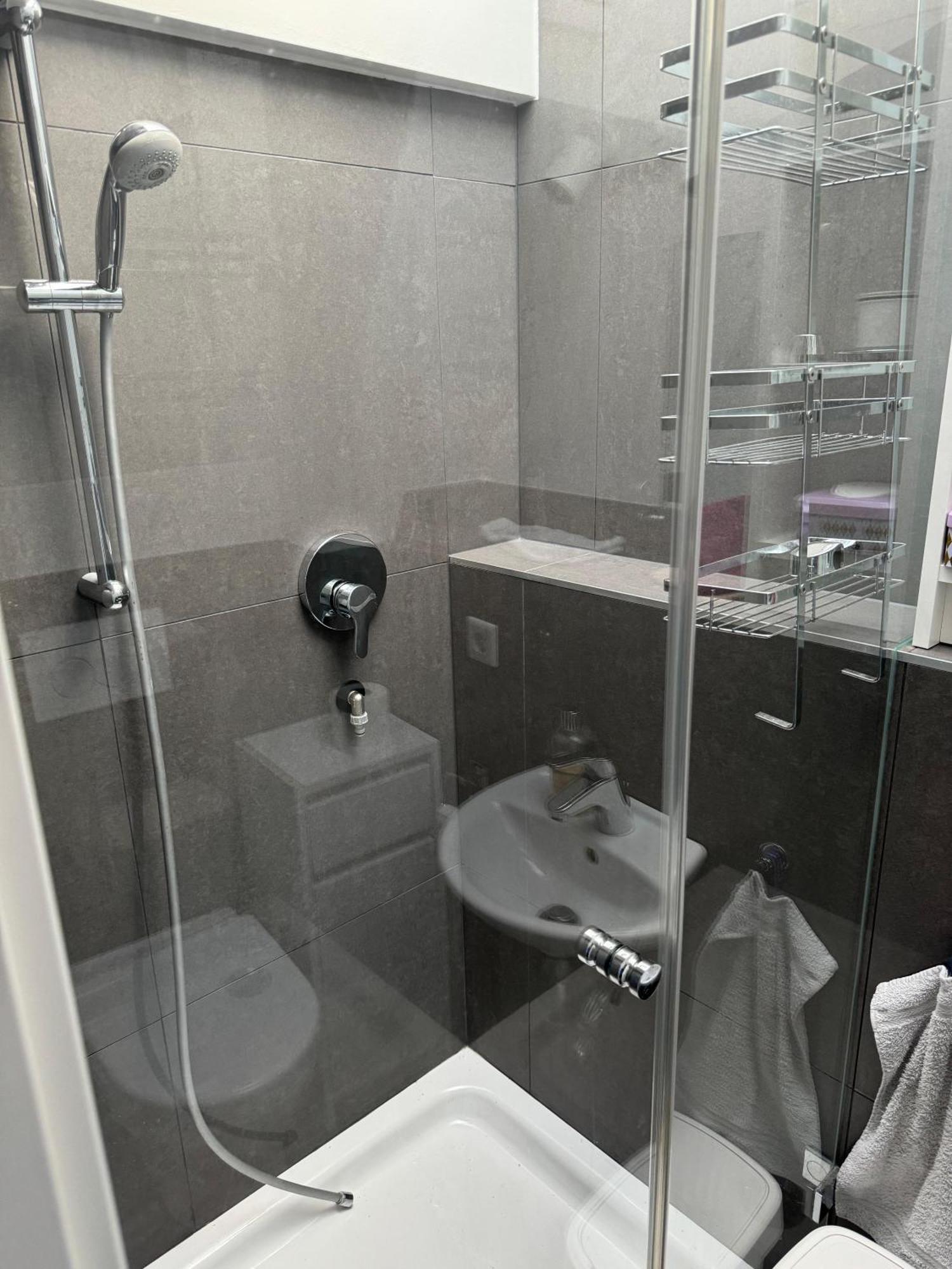 6 Zimmer Maisonette-Penthouse Pool Dachterrasse Luxus München Eksteriør billede